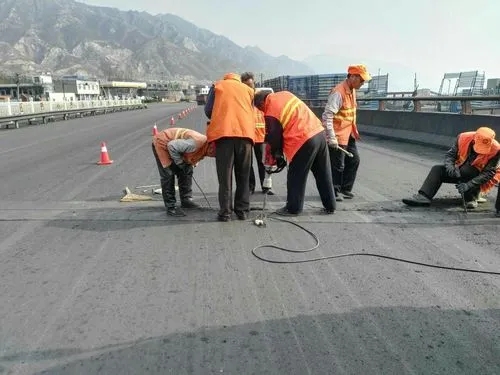 范县道路桥梁病害治理